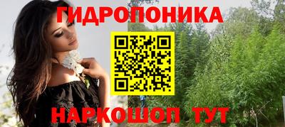 PSILOCYBIN Бердск