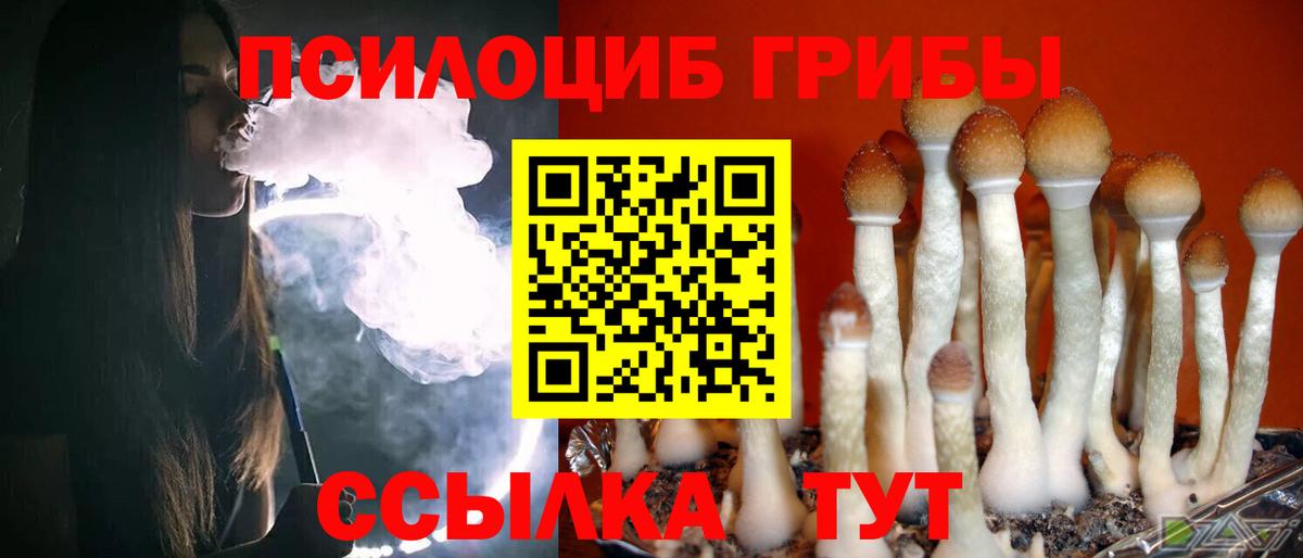 Псилоцибиновые грибы Cubensis  Вход с VPN  Севастополь  Галлюциногенные грибы MAGIC MUSHROOMS 